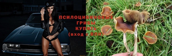 мет Горно-Алтайск