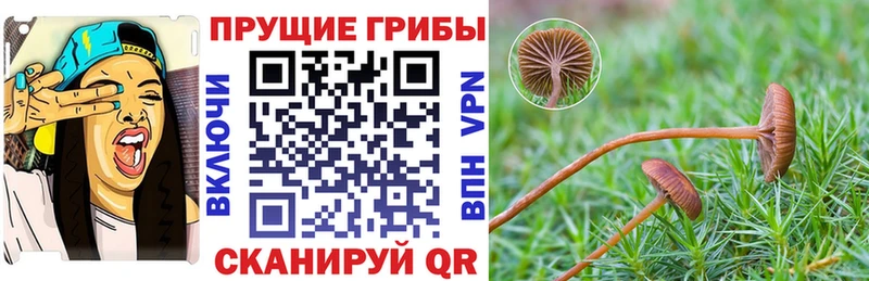 Галлюциногенные грибы Magic Shrooms  hydra сайт  Новый Оскол 